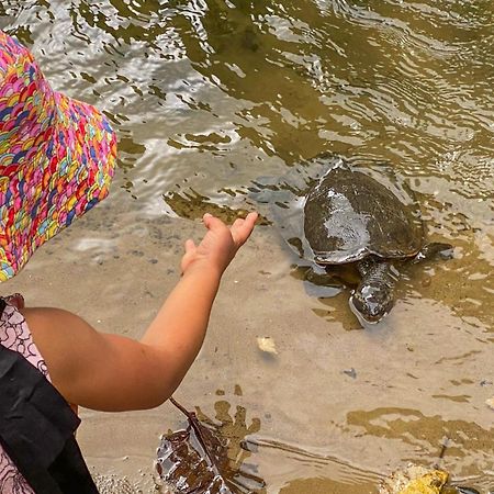 Tasman Holiday Parks - Cairns Cool Waters Luaran gambar